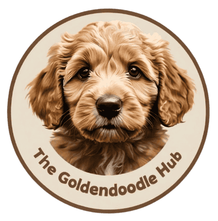 The_Goldendoodle_Hub Logo